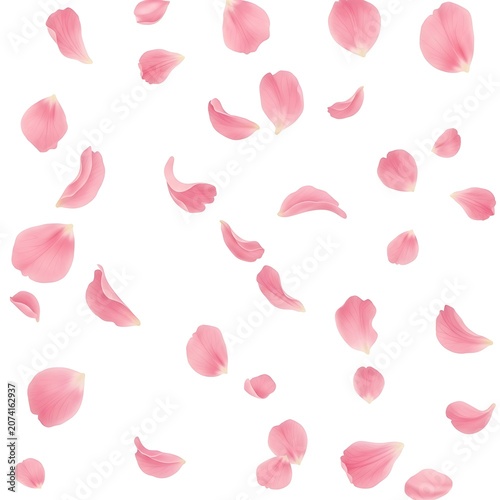 Pink Rose Petals Falling Seamless Pattern Background.