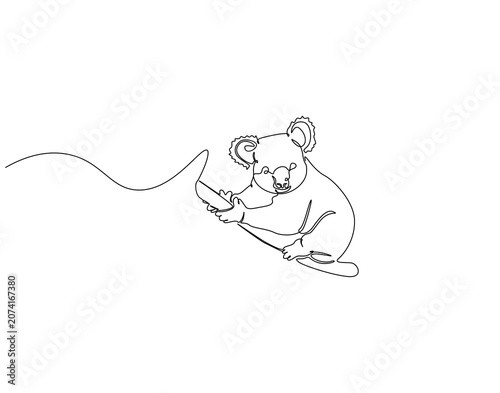 Photography Continuous line drawing of koala