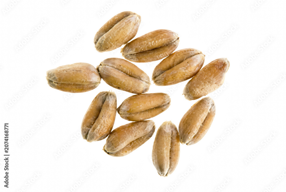 Obraz premium Macro view of individual wheat seeds clustered together