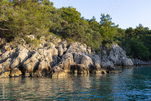 Rugged limestone cliffs rise above calm turquoise water beside dense pine forest and green scru