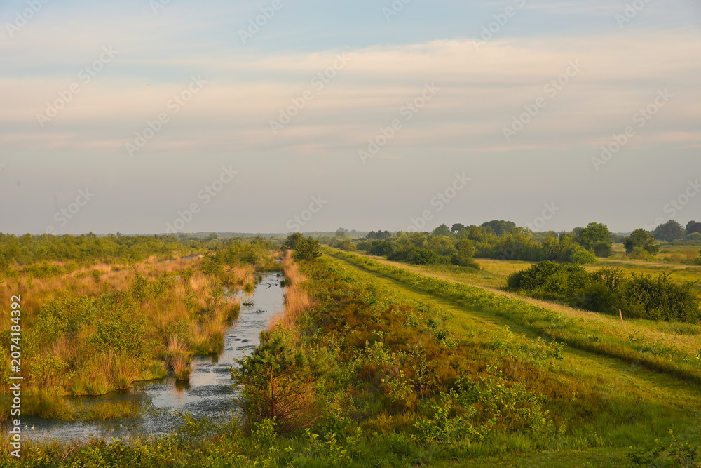 Obraz premium Scenic stream running through grassy fields and shrubs along the Noaberpad near the Dutch–German border, captured two weeks ago.