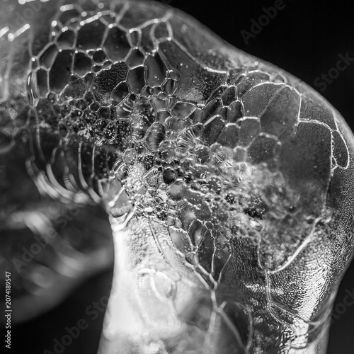 Abstract frozen soap bubble texture in black and white