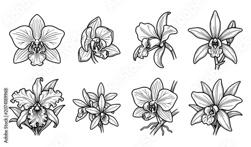 Exotic Orchid Flower Line Art Icon Set with Tropical Botanical Blooms and Buds for Wedding Stationery, Cosmetics Branding, and Elegant Floral Graphic Designs