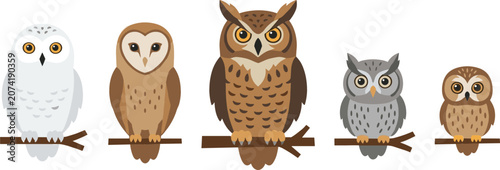 Canvastavla Owl Bird Species Vector Illustration Set Featuring Snowy Owl Barn Owl Great Horn