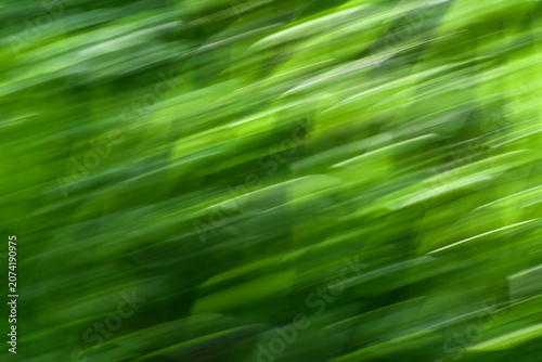Abstract background is intense, fresh green grass, blurred, in motion