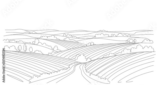 Rolling Hills Landscape Line Art: Rural Countryside Fields, Trees, and Road