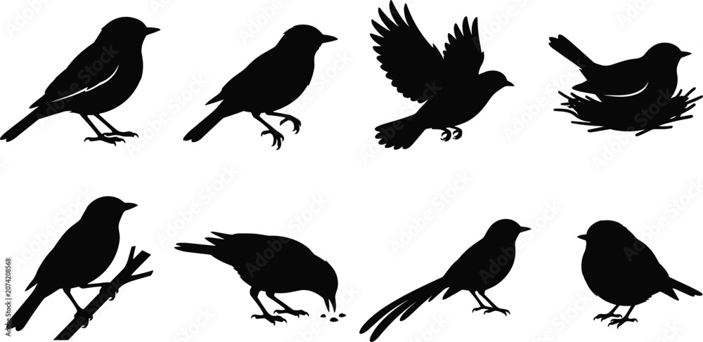 Fototapeta premium Bird Silhouette Collection Showing Flying, Perching, and Nesting Poses for Wildlife and Nature Design Projects