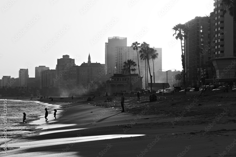 Fototapeta premium Golden Sunset Along Long Beach Shore