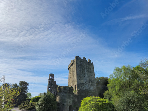 Ruined stone castle tower above green trees and blue sky