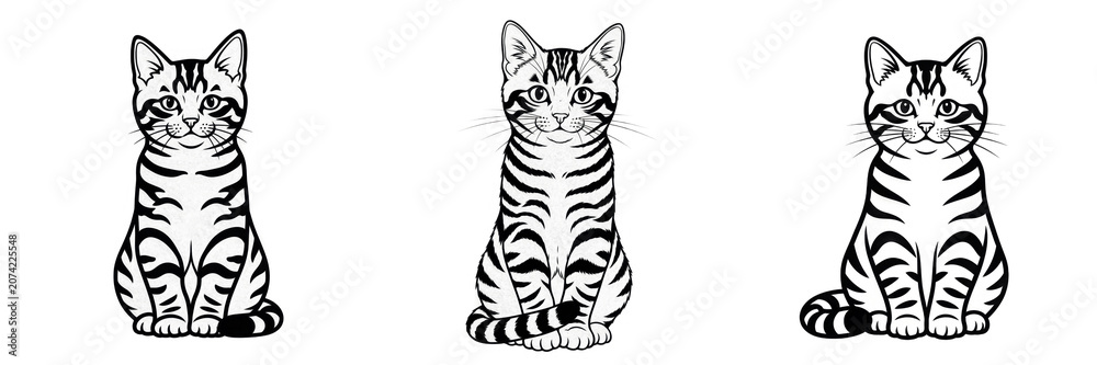 Naklejka premium Set and Collection of hand-drawn kitten illustration isolated on transparent PNG background
