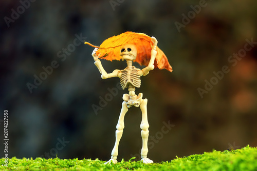 Whimsical toy skeleton figurine holding dry yellow leaf over head, hide from rain