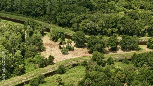 Aerial view of a narrow canal winding through dense subtropical vegetation, lush green trees, and patches of cleared land in the Florida countryside, Ave Maria, Florida, United States.