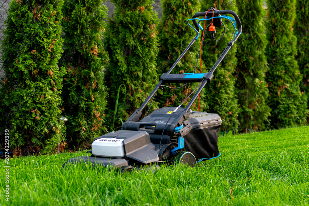 Fototapeta premium Electric lawn mower cutting overgrown lawn grass