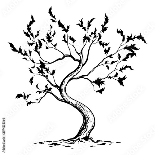 Curved tree sketch with sparse leaves isolated on white background