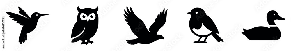 Obraz premium Bird icons set. Various species of birds concept. Includes hummingbird, owl, eagle, robin, duck. Solid black silhouette style