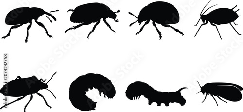 Bild auf Leinwand Agricultural garden pests silhouette set featuring destructive insects like weev