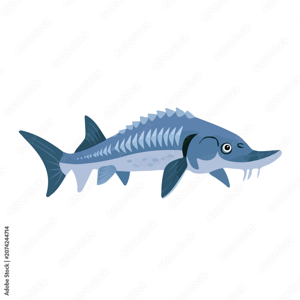 Obraz premium Sturgeon, flat 2D illustration, minimal modern design, clean shapes, isolated on a white background.
