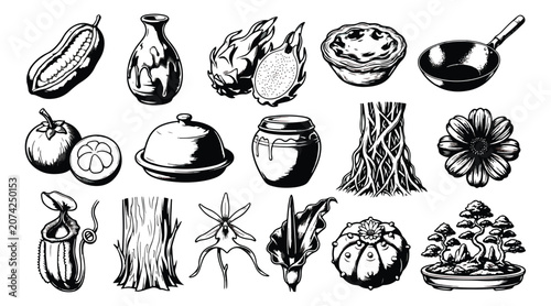 Foto Vintage Asian culture icons set, black and white woodcut style tropical fruit an