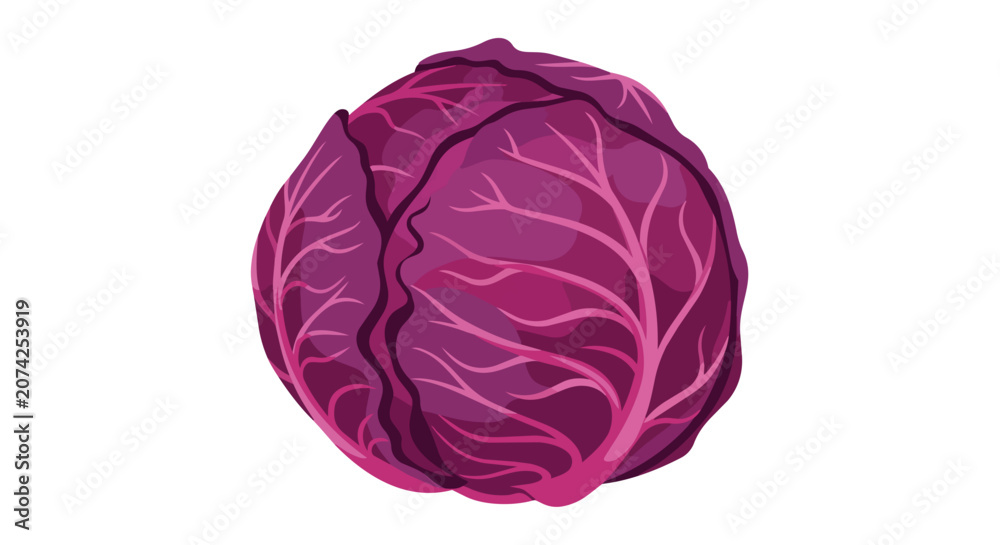 Obraz premium Vibrant Purple Cabbage Head Isolated on White Background for Healthy Organic Cooking and Fresh Vegetable Food Design
