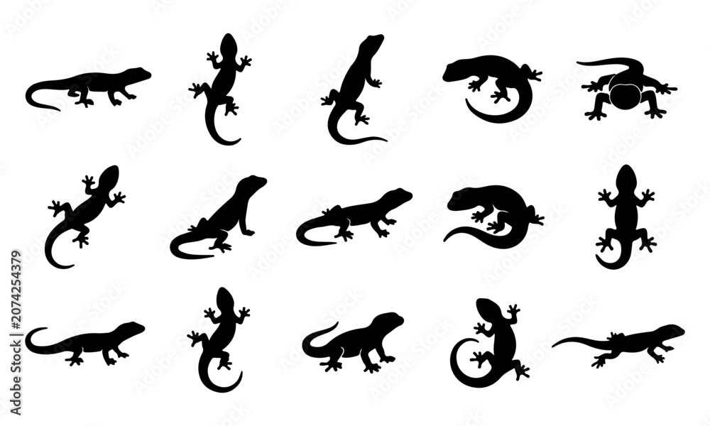Fototapeta premium Set of black lizard silhouettes displayed in various poses isolated on a white background for graphic design.