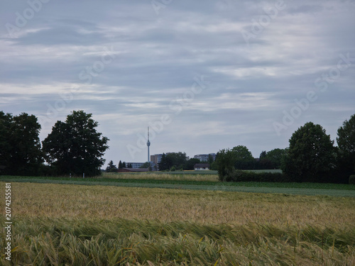 Fotografie germany, iconic stuttgart tv tower rising gracefully beyond trees and grainfield