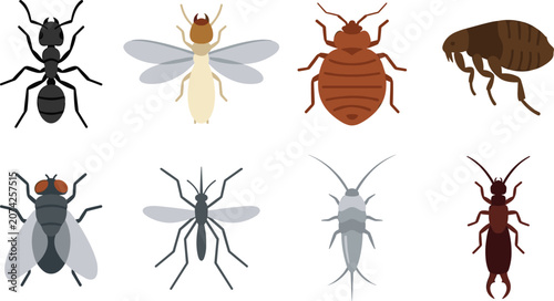 Foto Vector illustration set of common household pests and insects isolated on a whit