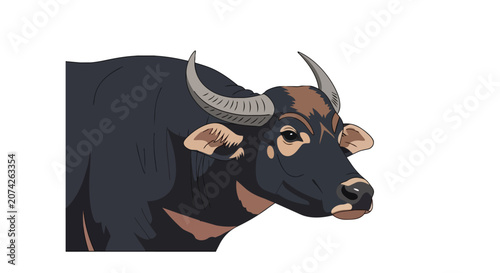 Majestic Asian Water Buffalo Portrait with Large Curved Horns and Detailed Features Isolated on White Background