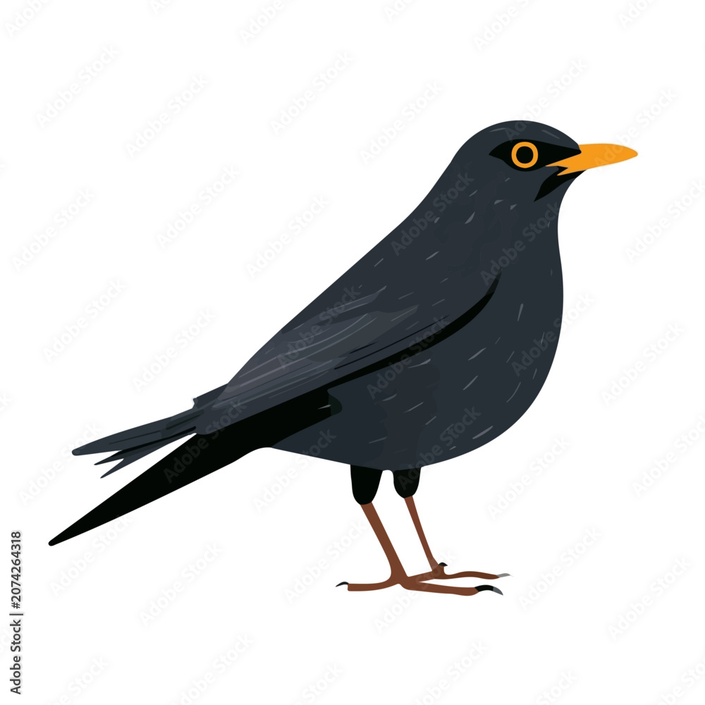 Fototapeta premium Simple flat 2D illustration of Blackbird, modern minimalist artwork, isolated on a white background.