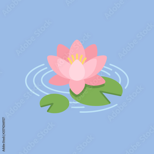 A pink water lily floats on a calm blue pond surface