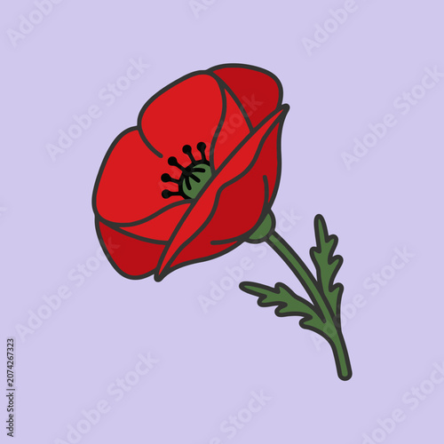 A vibrant red poppy flower illustration on a purple background