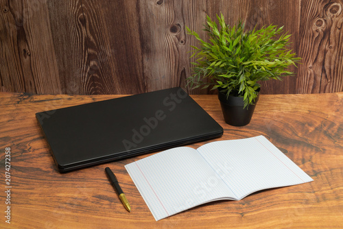 laptop on the table next to a checkered notebook and a green plant in a pot