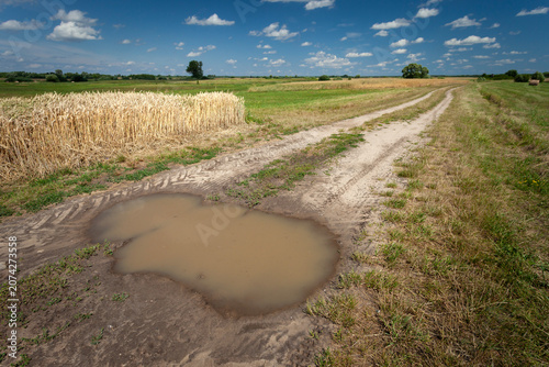 A puddle after rain on a dirt road next to a grain field