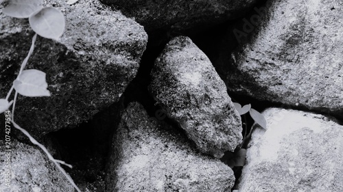 Fotografija Black and white rough stone pile close-up with porous rocks, soft leaves, deep shadow gaps, and rugged natural outdoor texture