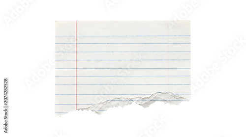 Canvas-taulu Torn lined paper note with red margin line on transparent background