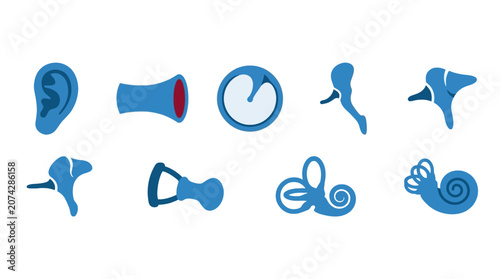 Photos Blue anatomical icons of the human ear and auditory system