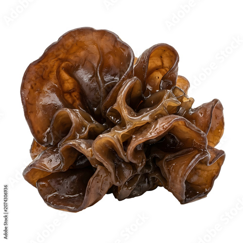 Wood Ear Mushroom PNG