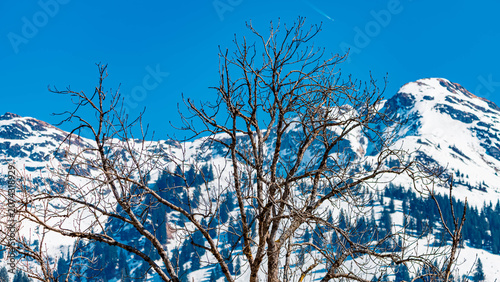 Alpine summer view at Aurach near Kitzbuehel, Tyrol, Austria