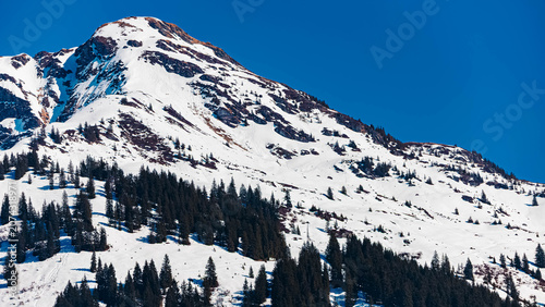 Alpine summer view at Aurach near Kitzbuehel, Tyrol, Austria