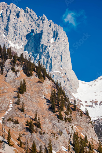 Alpine spring view at Wochenbrunner Alm, Mount Wilder Kaiser, Ellmau, Kufstein, Tyrol, Austria