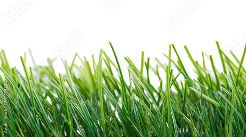 Fotografie Close-up of lush green artificial turf blades