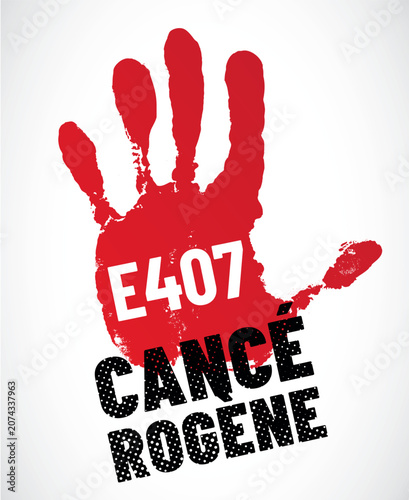 E407 - Carraghénanes -Agent de texture 