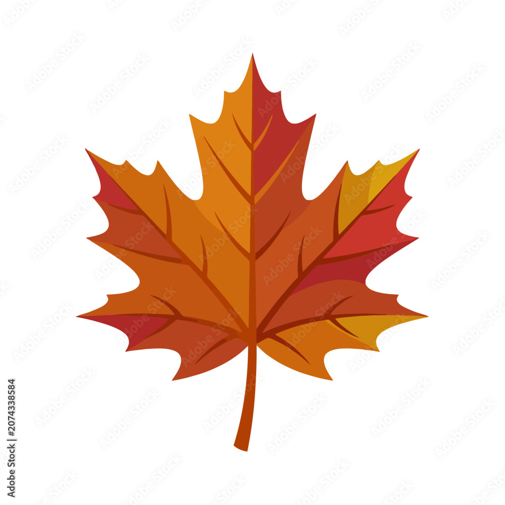 Fototapeta premium A vibrant orange maple leaf isolated on a white background