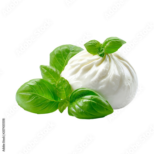 fresh basil leaves