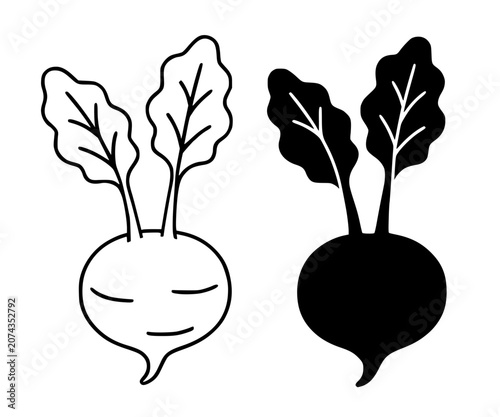 Photos Kohlrabi minimalist icon, in outline and silhouette design for food theme