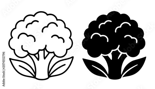 Fotografie Caulilflower minimalist icon, in outline and silhouette design for food theme