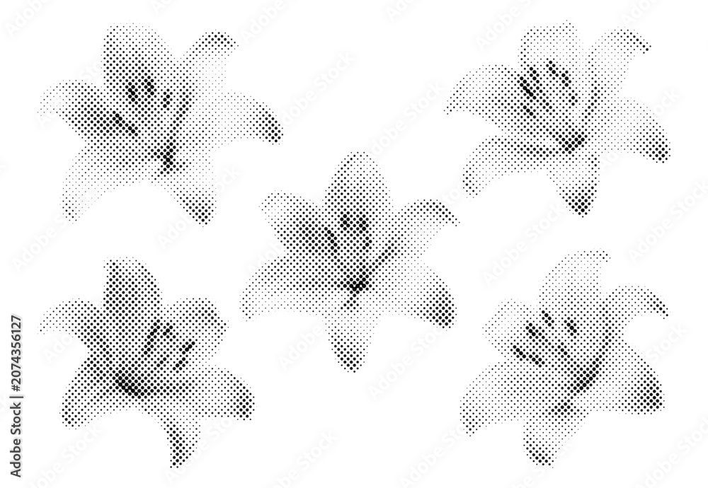 Fototapeta premium Halftone lily flower set with monochrome dotted texture and vintage print effect. Isolated floral elements in retro newspaper style for collage, posters, packaging and graphic design.