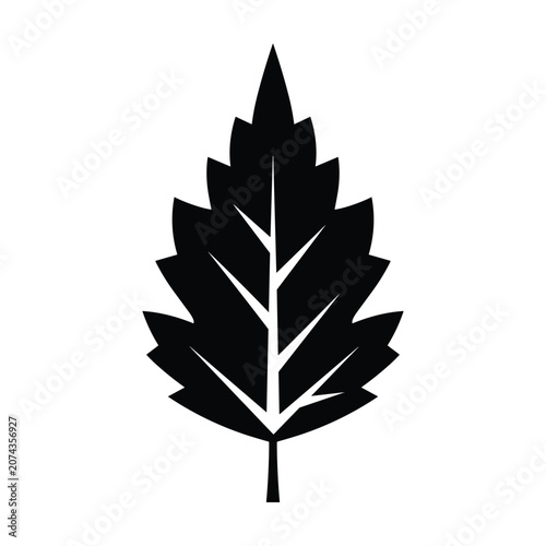 Black Silhouette Maple Leaf Isolated on White Background Minimalist Design