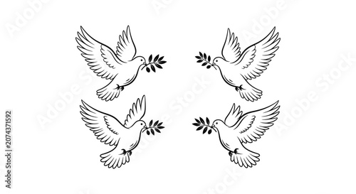 Four white birds flying in a circle