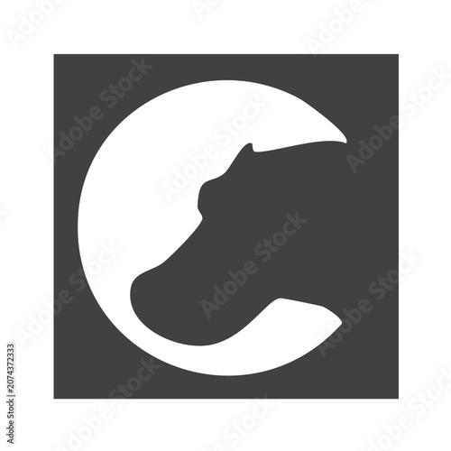 Close-up of a Cat Silhouette on a Dark Background with Shadow Effect