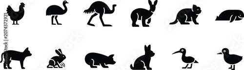 Photography Black silhouettes of various farm and wild animals on a white background farm an